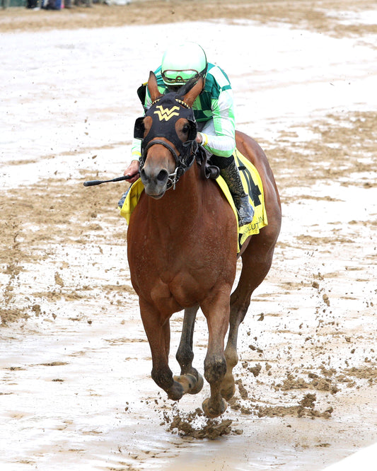WAGGLEY - The Kentucky Juvenile - 04-29-26 - R06 - CD - Inside Finish 01 - Coady Media - Kurtis Coady Photography