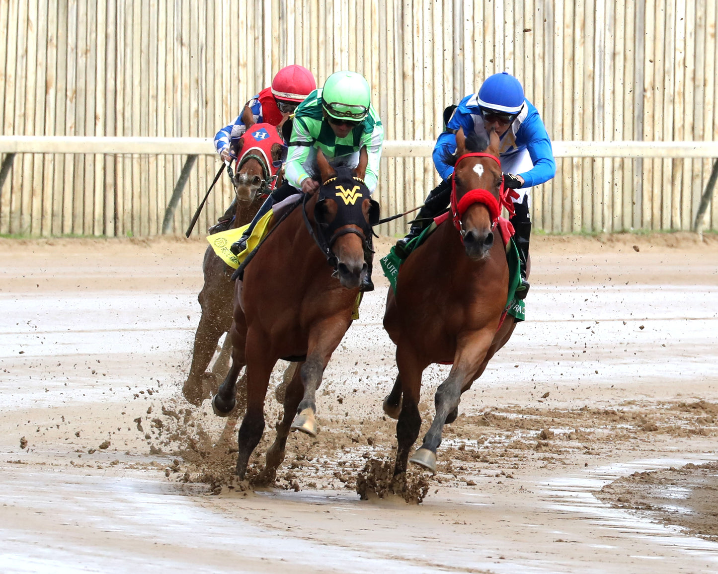 WAGGLEY - The Kentucky Juvenile - 04-29-26 - R06 - CD - Turn 01 - Coady Media - Kurtis Coady Photography