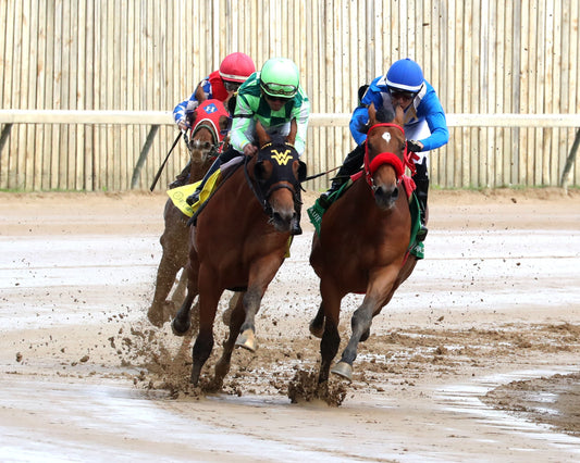 WAGGLEY - The Kentucky Juvenile - 04-29-26 - R06 - CD - Turn 01 - Coady Media - Kurtis Coady Photography