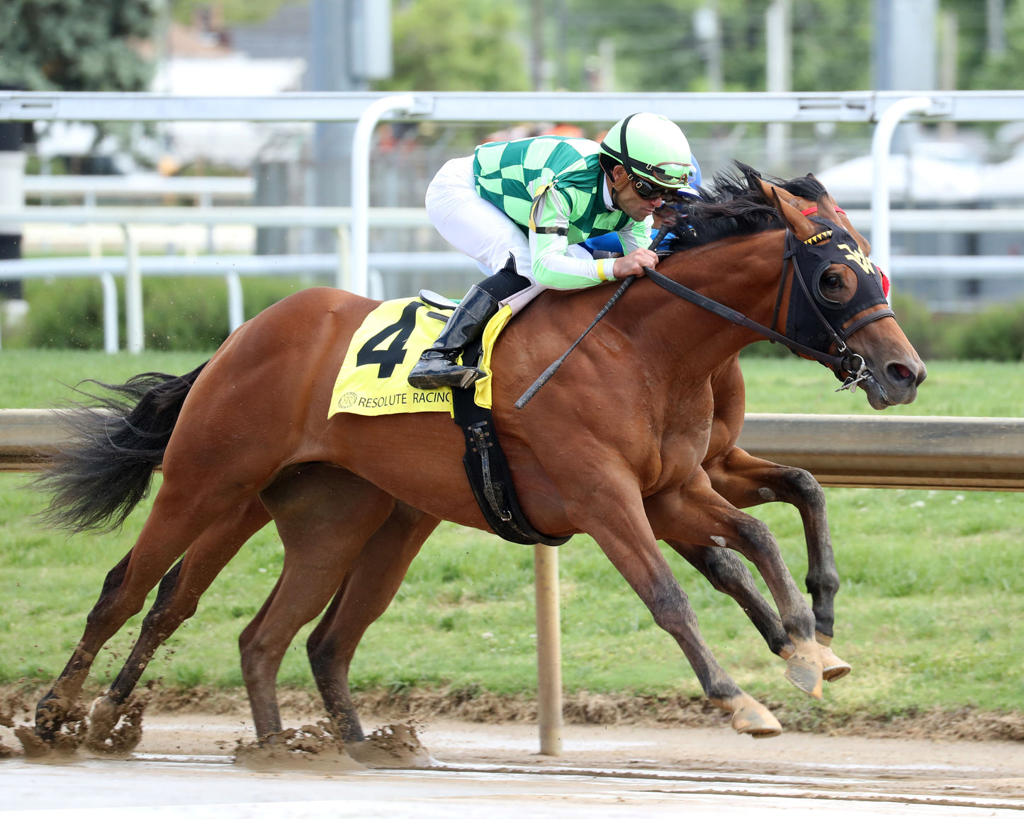 WAGGLEY - The Kentucky Juvenile - 04-29-26 - R06 - CD - Turn 04 - Coady Media - Kurtis Coady Photography