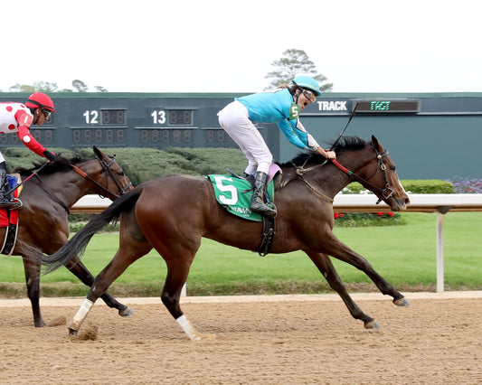 WALK AWAY KAYE - Rainbow Miss Stakes - 04-03-26 - R09 - Oaklawn Park -   Celebration 01 - Kara West - Coady Media - Kurtis Coady Photography