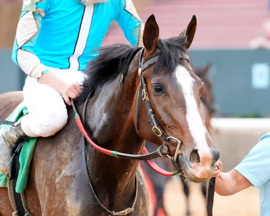 WALK AWAY KAYE - Rainbow Miss Stakes - 04-03-26 - R09 - Oaklawn Park -  Post Race 01 - Shelby Layne Ridgway - Coady Media - Kurtis Coady Photography