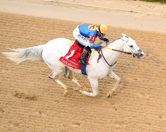 WHITE ABARRIO - Oaklawn Handicap G2 - 04-18-26 - R11 - Oaklawn Park - Aerial Finish 01 - Coady Media - Kurtis Coady Photography