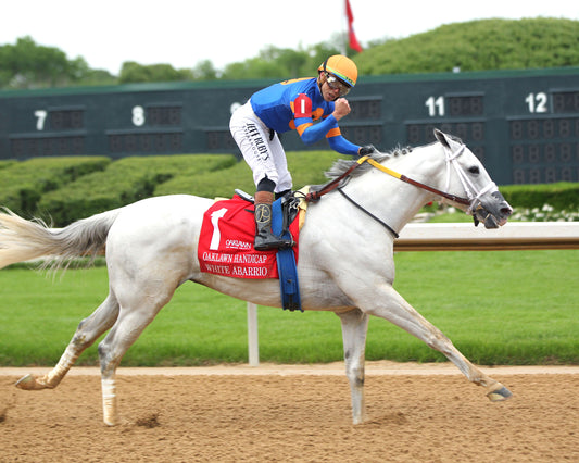 WHITE ABARRIO - Oaklawn Handicap G2 - 04-18-26 - R11 - Oaklawn Park - Celebration 01 - Coady Media - Kurtis Coady Photography