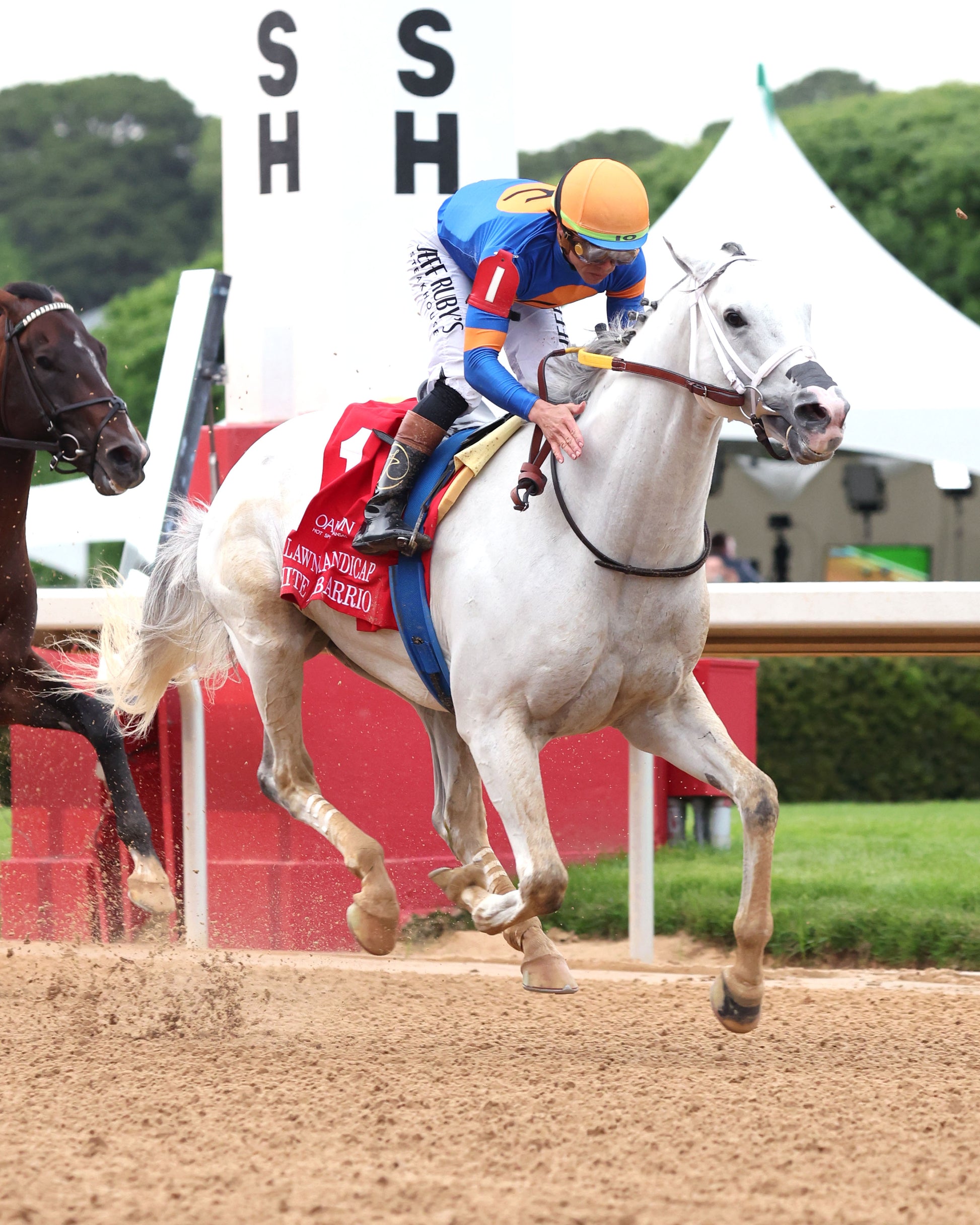 WHITE ABARRIO - Oaklawn Handicap G2 - 04-18-26 - R11 - Oaklawn Park - Celebration 02 - Coady Media - Kurtis Coady Photography