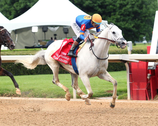 WHITE ABARRIO - Oaklawn Handicap G2 - 04-18-26 - R11 - Oaklawn Park - Finish 04 - Coady Media - Kurtis Coady Photography