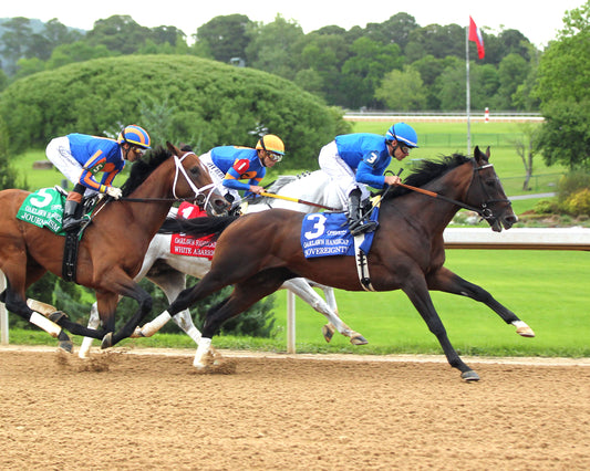 WHITE ABARRIO - Oaklawn Handicap G2 - 04-18-26 - R11 - Oaklawn Park - First Turn 02 - Coady Media - Kurtis Coady Photography