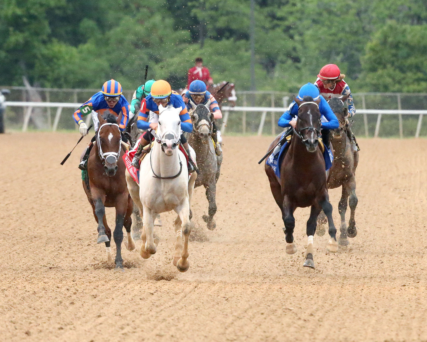 WHITE ABARRIO - Oaklawn Handicap G2 - 04-18-26 - R11 - Oaklawn Park -  Head On 01 - Coady Media - Kurtis Coady Photography