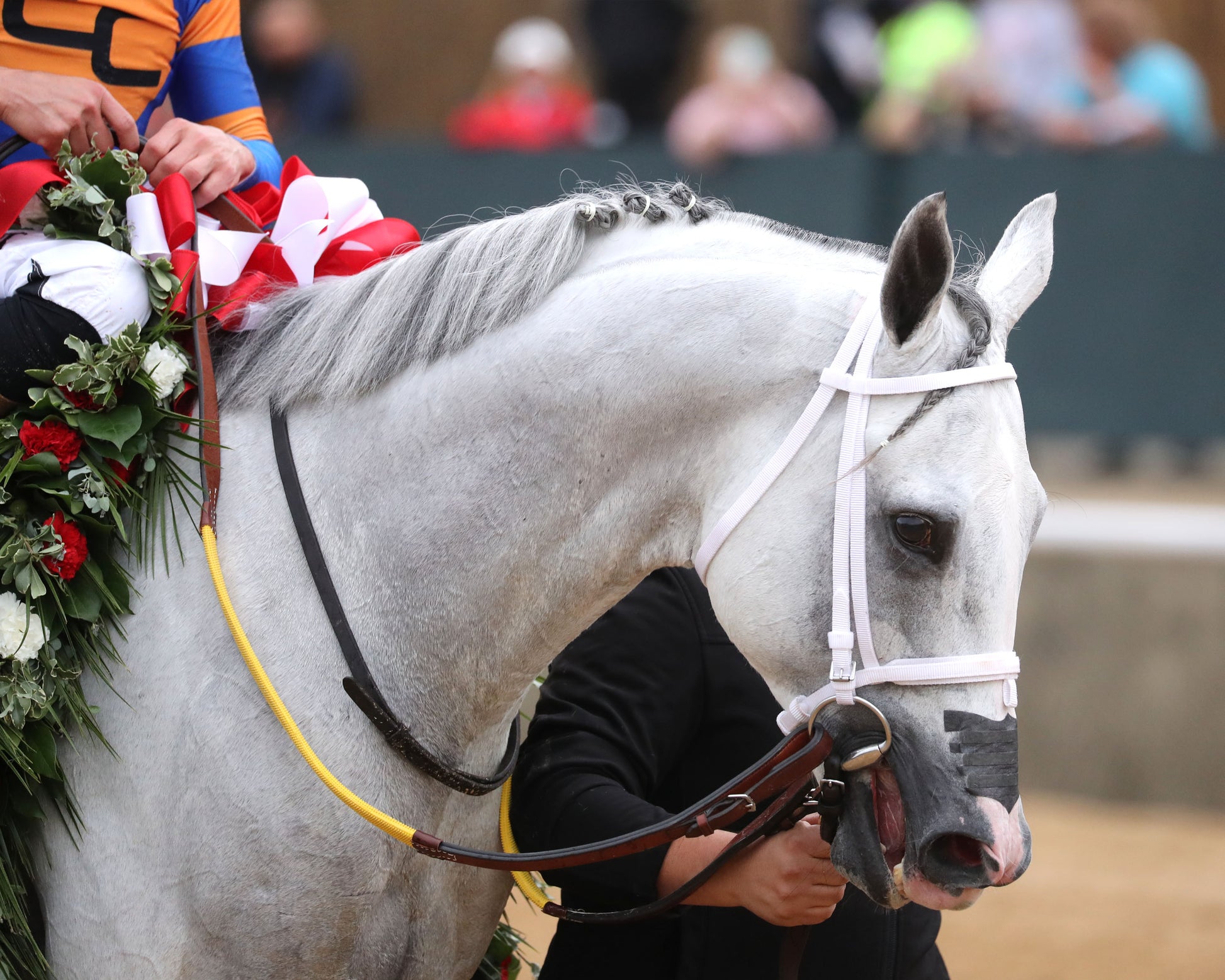 WHITE ABARRIO - Oaklawn Handicap G2 - 04-18-26 - R11 - Oaklawn Park - Head Shot 02 - Coady Media - Kurtis Coady Photography