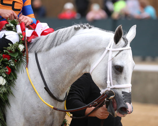 WHITE ABARRIO - Oaklawn Handicap G2 - 04-18-26 - R11 - Oaklawn Park - Head Shot 02 - Coady Media - Kurtis Coady Photography