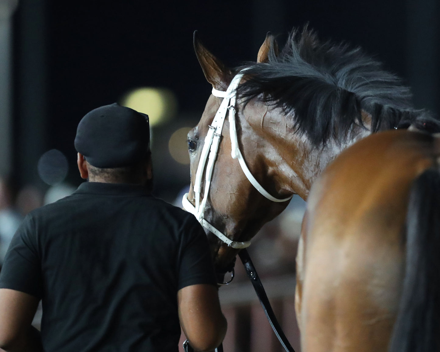 WILLY D'S - The Charles Town Classic G2 - 08-28-26 - R11 - CT - Walk Back 01
