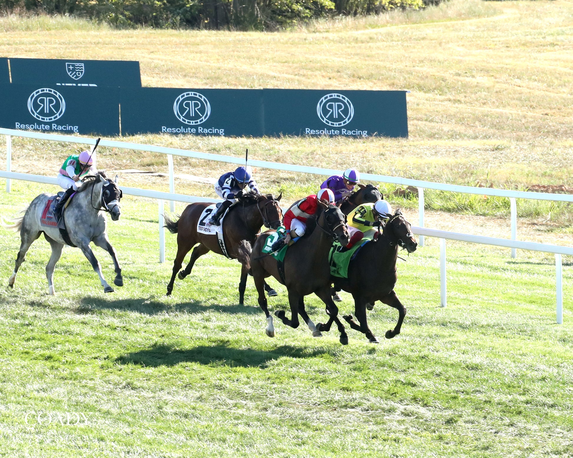 WIMBLEDON HAWKEYE - DK Horse Nashville Derby Invitational Stakes - 08-30-25 - Aerial Finish 03 - Coady Media - Kurtis Coady Photography