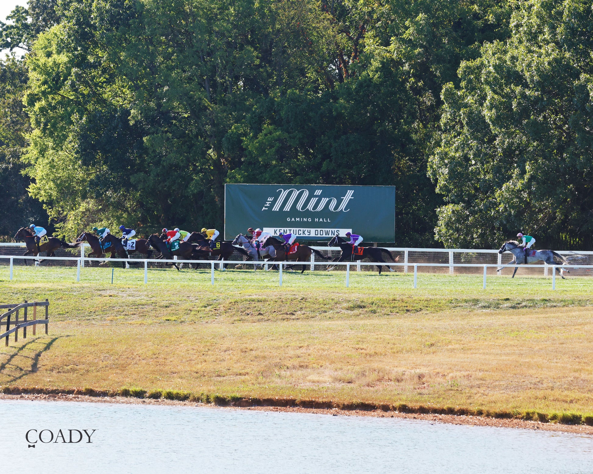 WIMBLEDON HAWKEYE - DK Horse Nashville Derby Invitational Stakes - 08-30-25 - Celebration - Coady Media - Kurtis Coady Photography