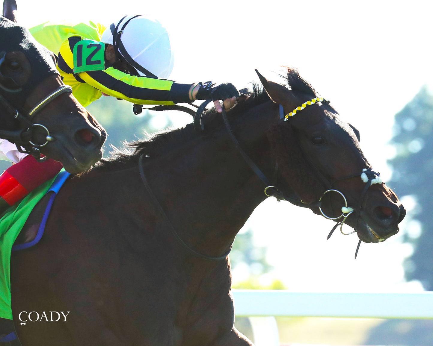WIMBLEDON HAWKEYE - DK Horse Nashville Derby Invitational Stakes - 08-30-25 - Finish 04 - Coady Media - Kurtis Coady Photography
