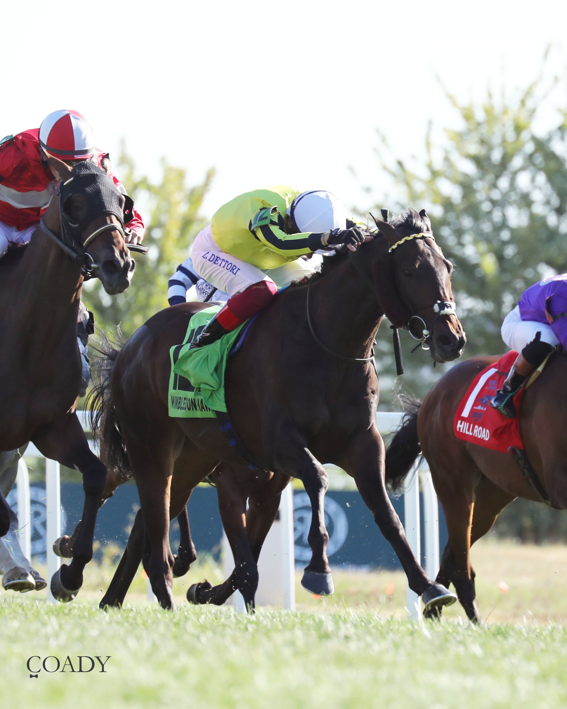 WIMBLEDON HAWKEYE - DK Horse Nashville Derby Invitational Stakes - 08-30-25 - Finish 06 - Coady Media - Kurtis Coady Photography