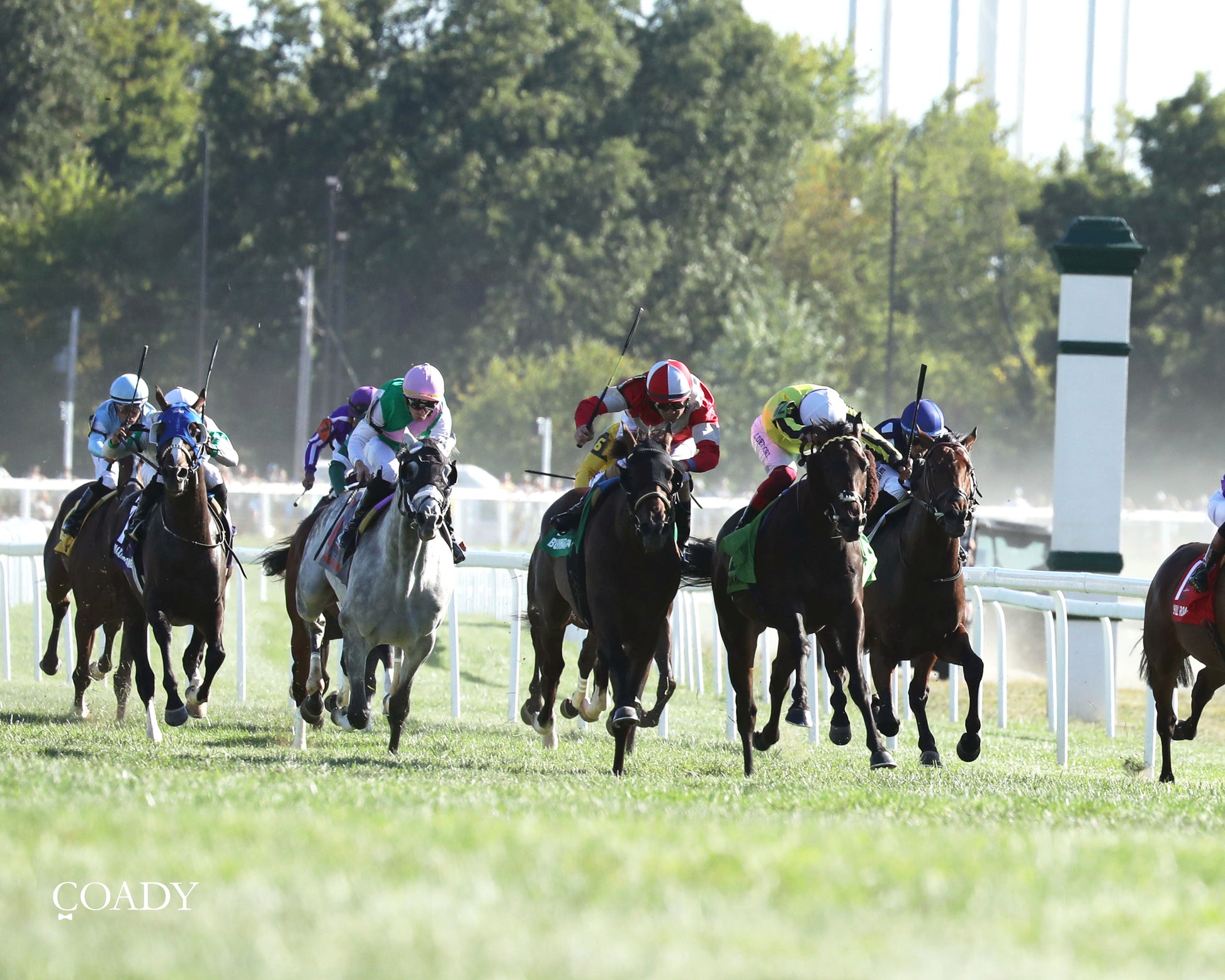 WIMBLEDON HAWKEYE - DK Horse Nashville Derby Invitational Stakes - 08-30-25 - Head On 01 - Coady Media - Kurtis Coady Photography