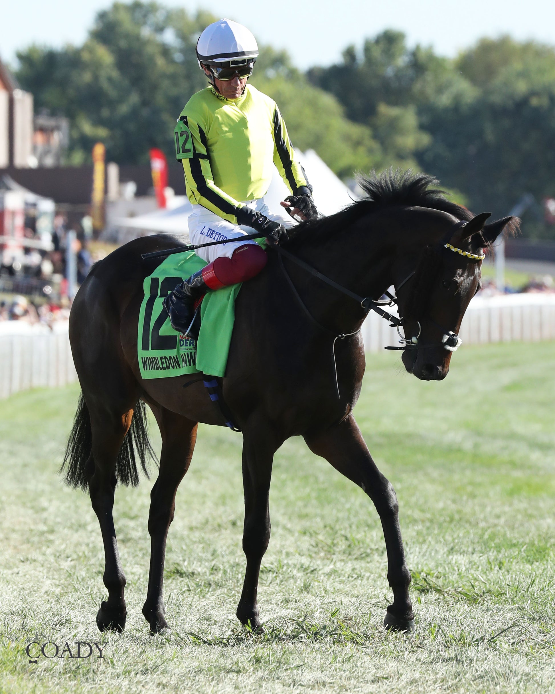 WIMBLEDON HAWKEYE - DK Horse Nashville Derby Invitational Stakes - 08-30-25 - KD - Post Parade 01 - Coady Media - Kurtis Coady Photography