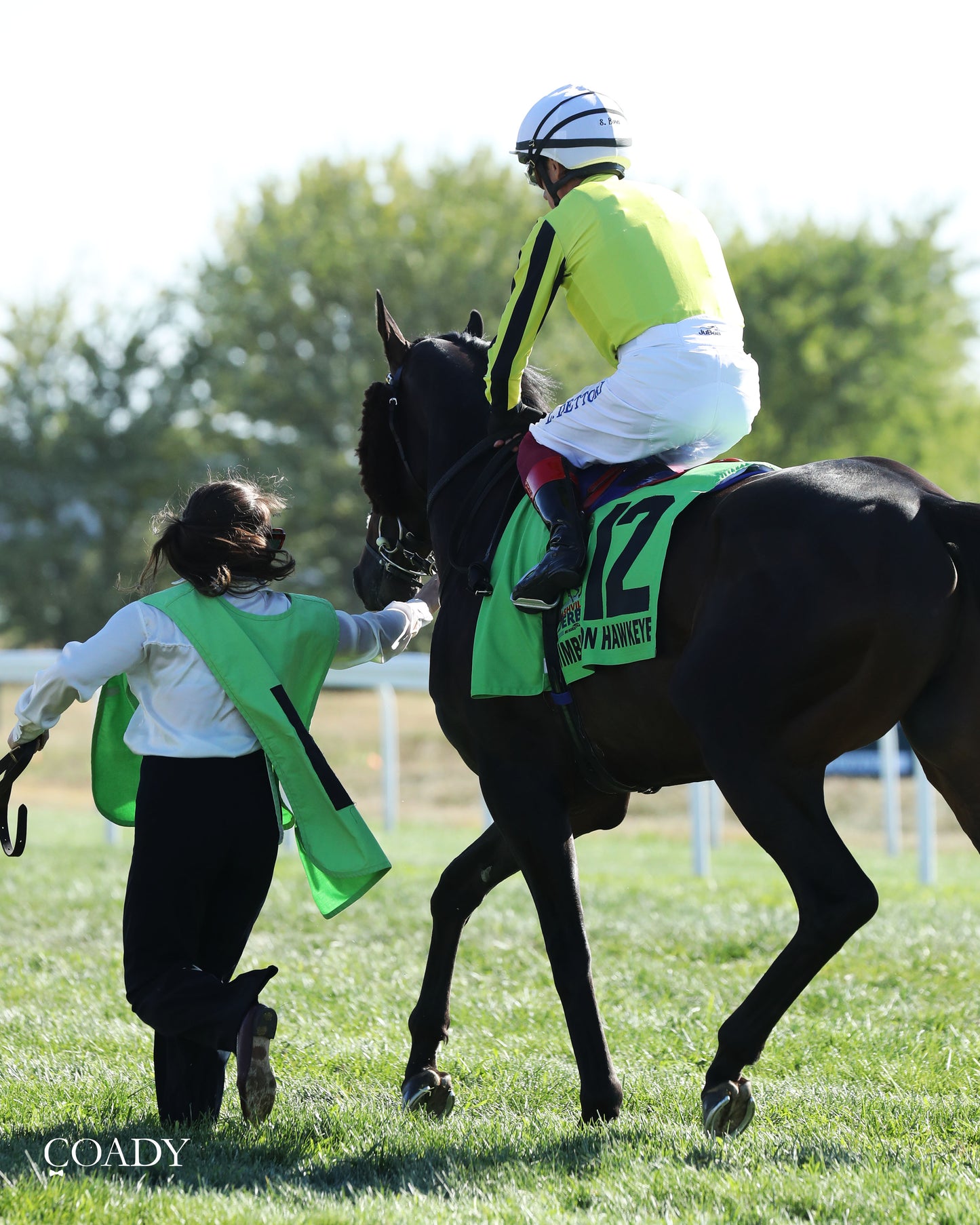 WIMBLEDON HAWKEYE - DK Horse Nashville Derby Invitational Stakes - 08-30-25 - KD - Post Parade 02 - Coady Media - Kurtis Coady Photography