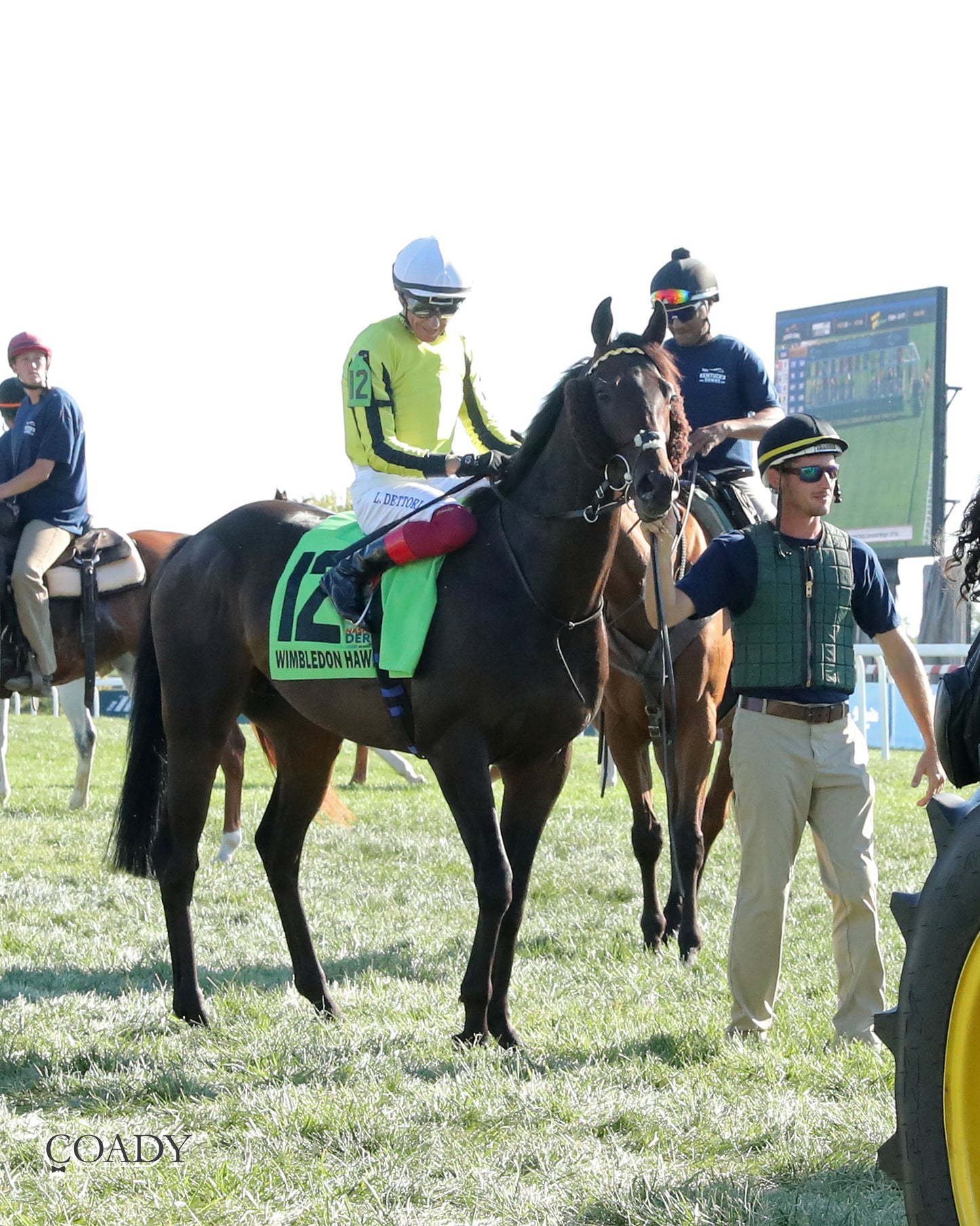 WIMBLEDON HAWKEYE - DK Horse Nashville Derby Invitational Stakes - 08-30-25 - KD - Post Parade 03 - Coady Media - Kurtis Coady Photography