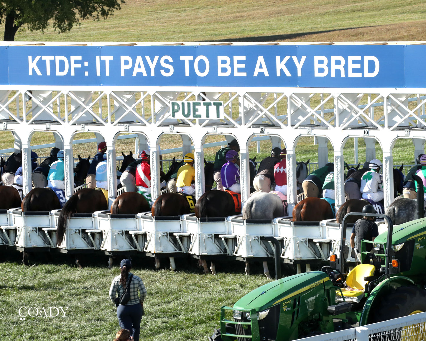 WIMBLEDON HAWKEYE - DK Horse Nashville Derby Invitational Stakes - 08-30-25 - KD - Start 03 - Coady Media - Kurtis Coady Photography