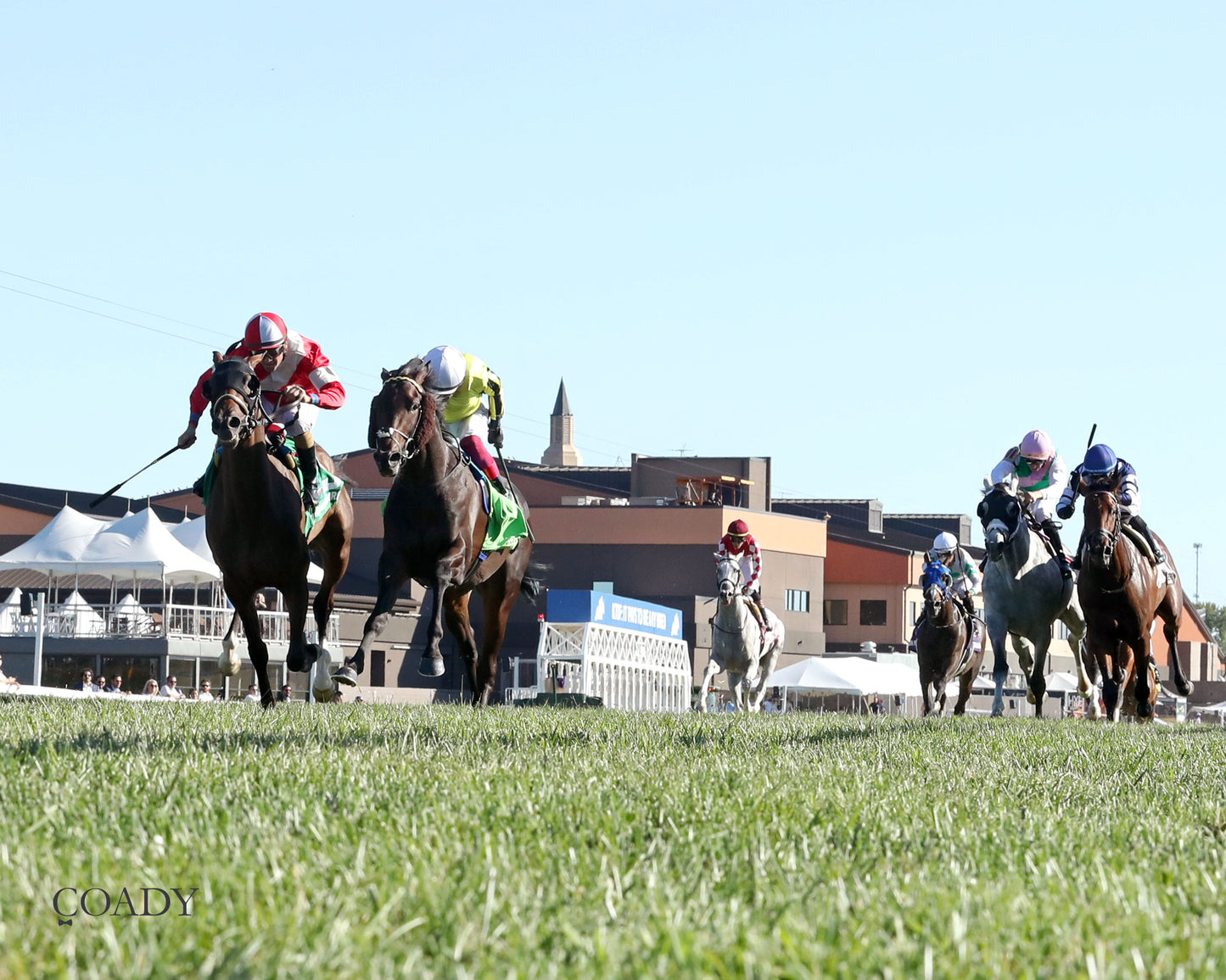 WIMBLEDON HAWKEYE - DK Horse Nashville Derby Invitational Stakes - 08-30-25 - KD - Under Rail 02 - Coady Media - Kurtis Coady Photography