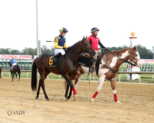 WOLFIE'S DYNAGHOST - The Bert Allen Handicap - 09-13-25 - CNL - Post Parade 02