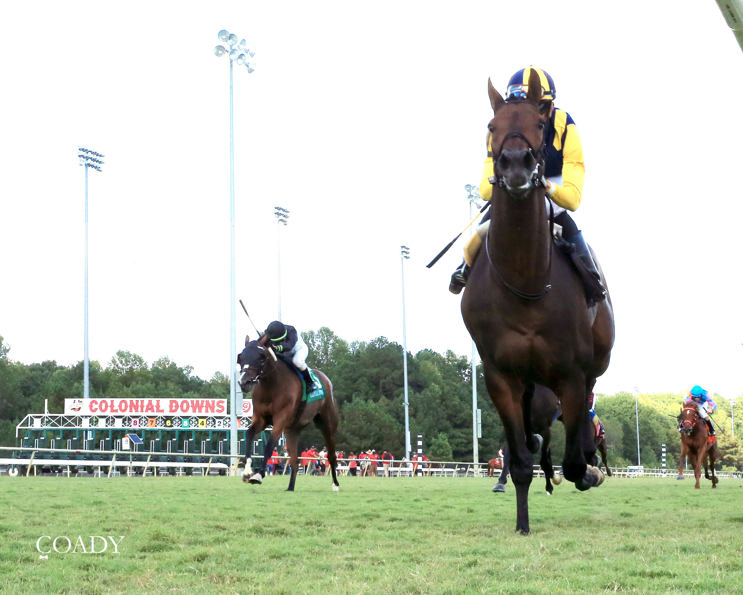 WOLFIE'S DYNAGHOST - The Bert Allen Handicap - 09-13-25 - CNL - Under Rail 01