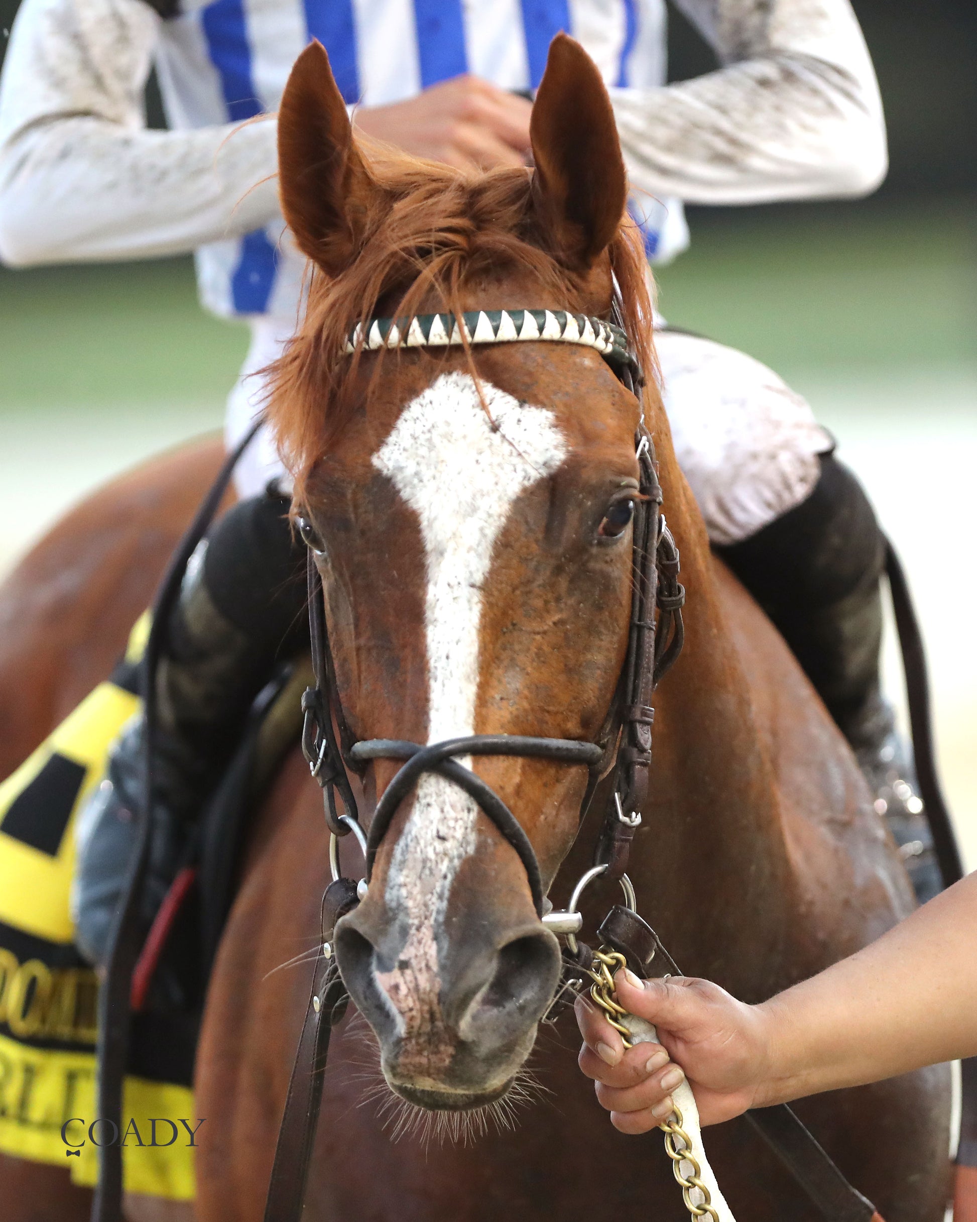 WORLD BEATER - The Old Dominion Derby G3 - 09-06-25 - R10 - CNL - Come Back 02 - Coady Media - Kurtis Coady Photography