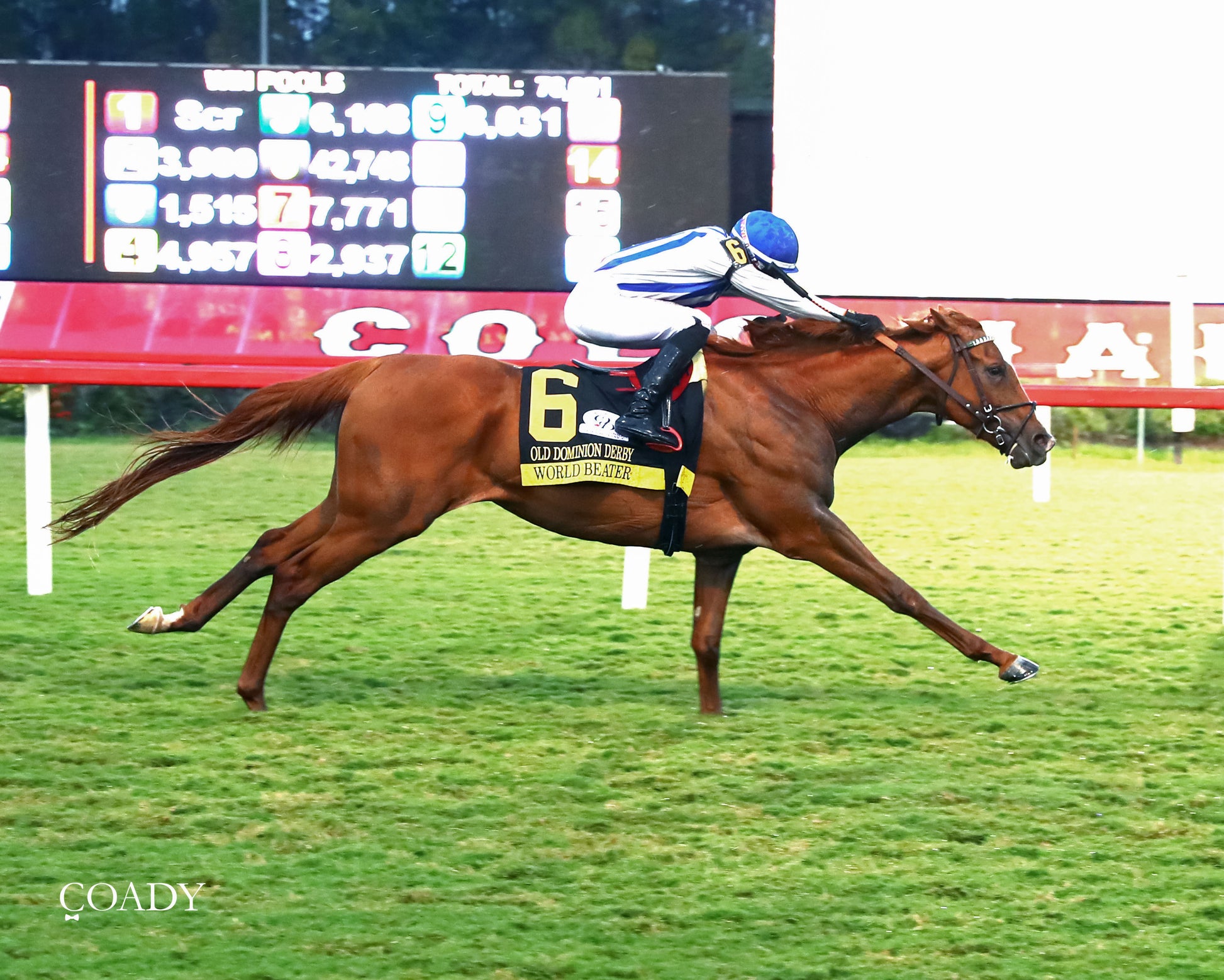 WORLD BEATER - The Old Dominion Derby G3 - 09-06-25 - R10 - CNL - Finish 01 - Coady Media - Kurtis Coady Photography