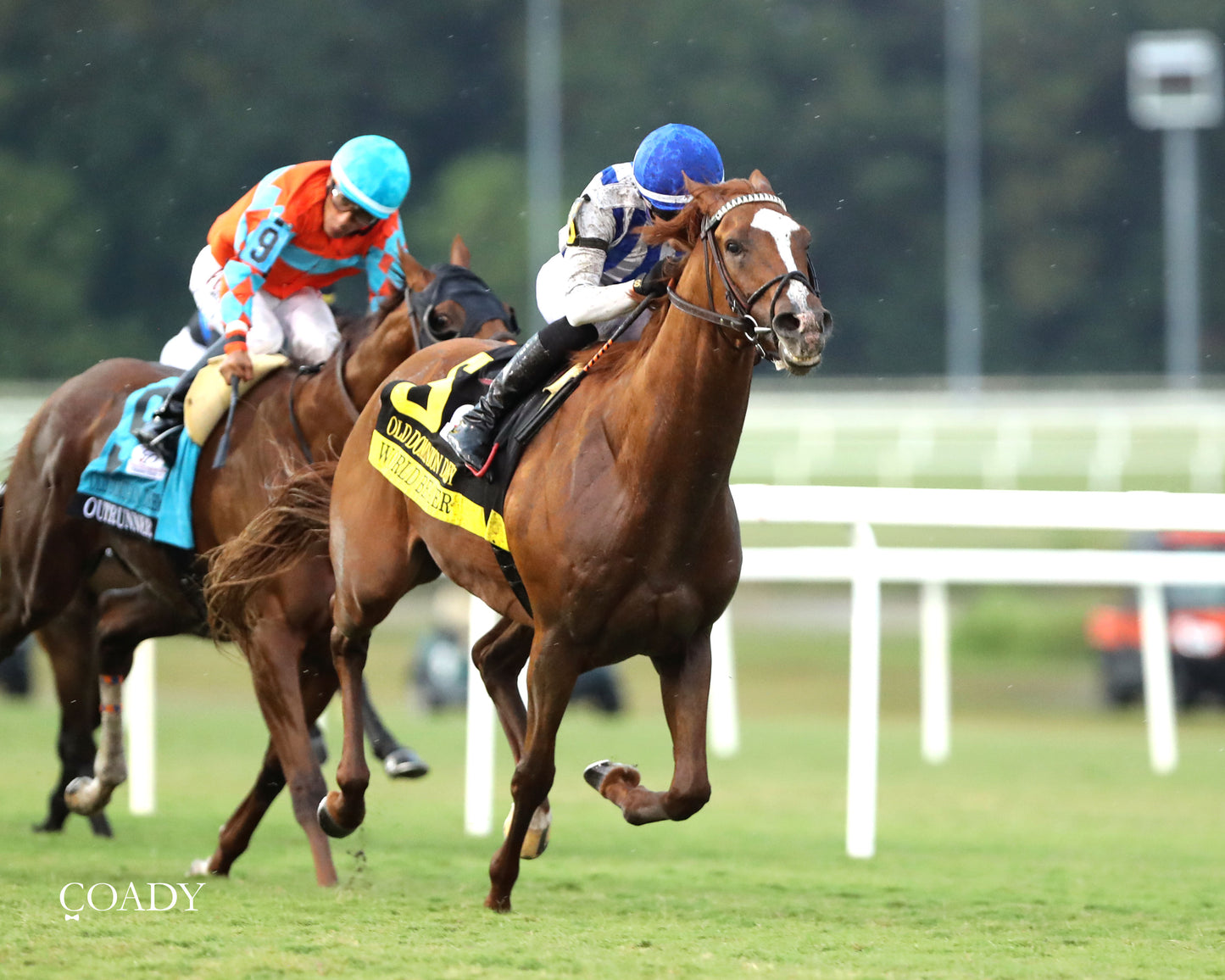 WORLD BEATER - The Old Dominion Derby G3 - 09-06-25 - R10 - CNL - 3/4 Finish 01 - Coady Media - Kurtis Coady Photography