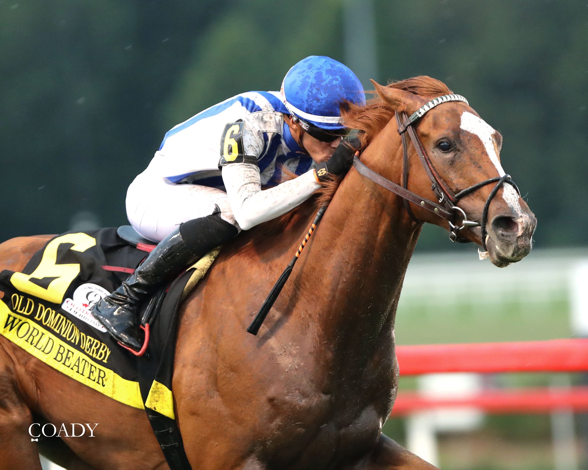 WORLD BEATER - The Old Dominion Derby G3 - 09-06-25 - R10 - CNL - 3/4 Finish 02 - Coady Media - Kurtis Coady Photography
