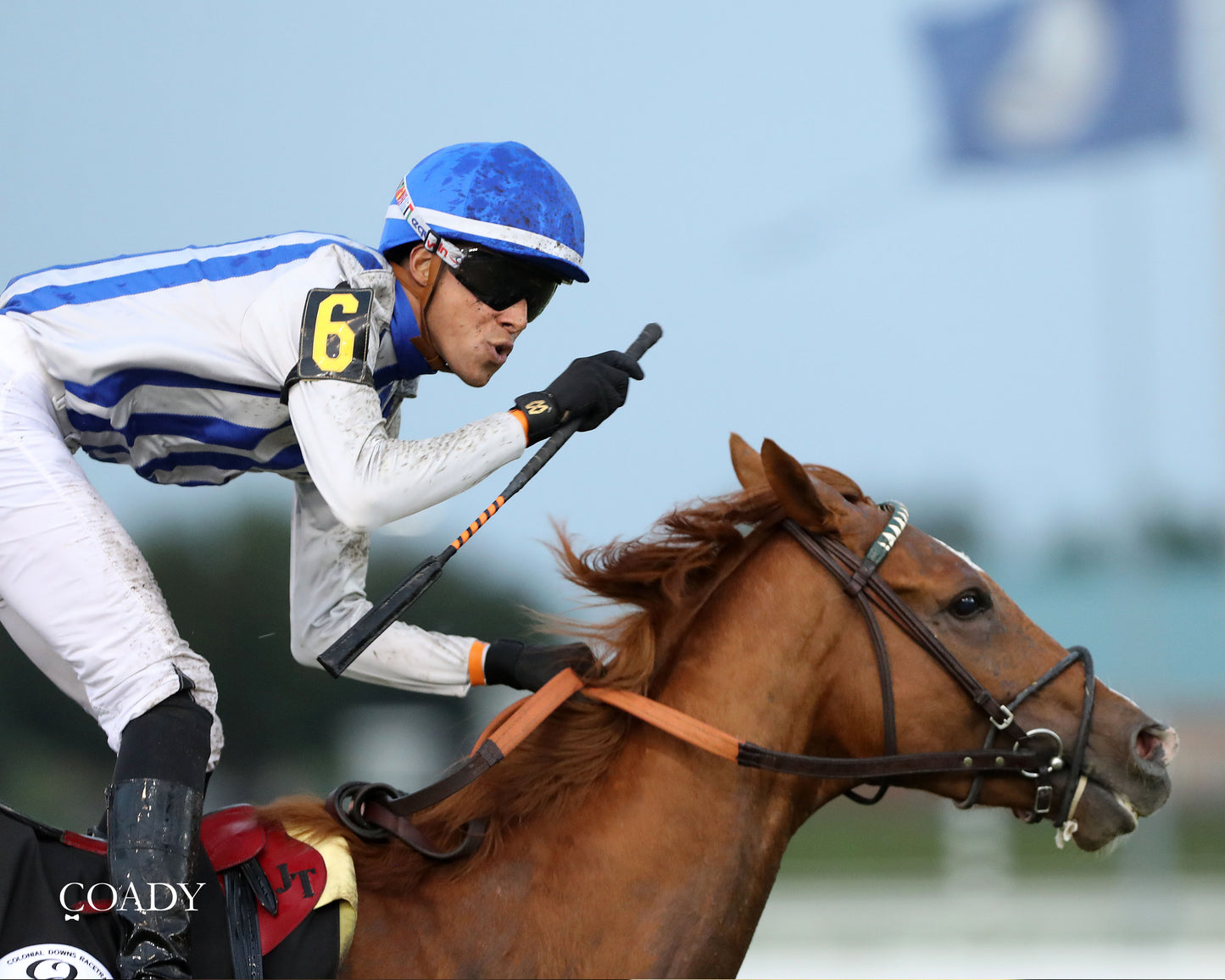 WORLD BEATER - The Old Dominion Derby G3 - 09-06-25 - R10 - CNL - 3/4 Finish 03 - Coady Media - Kurtis Coady Photography