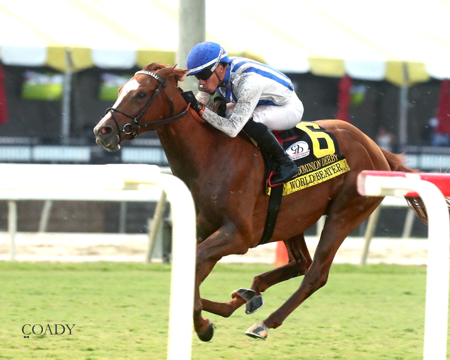 WORLD BEATER - The Old Dominion Derby G3 - 09-06-25 - R10 - CNL - Inside Finish 01 - Coady Media - Kurtis Coady Photography