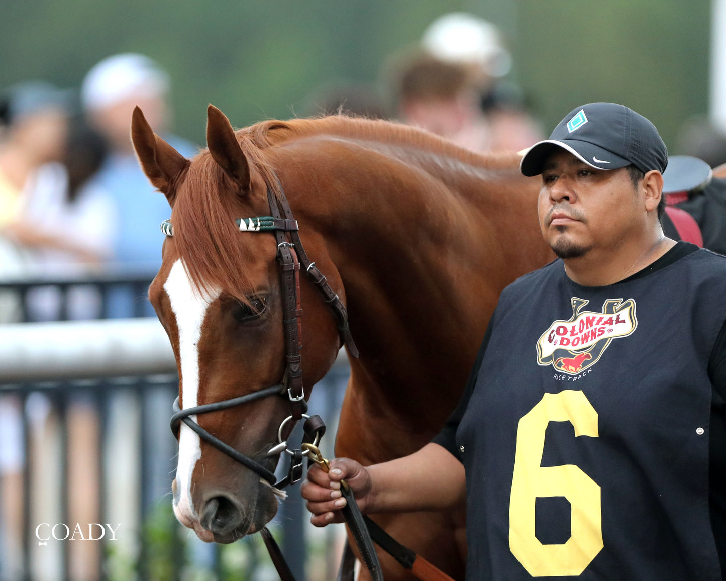 WORLD BEATER - The Old Dominion Derby G3 - 09-06-25 - R10 - CNL - Paddock 02 - Coady Media - Kurtis Coady Photography