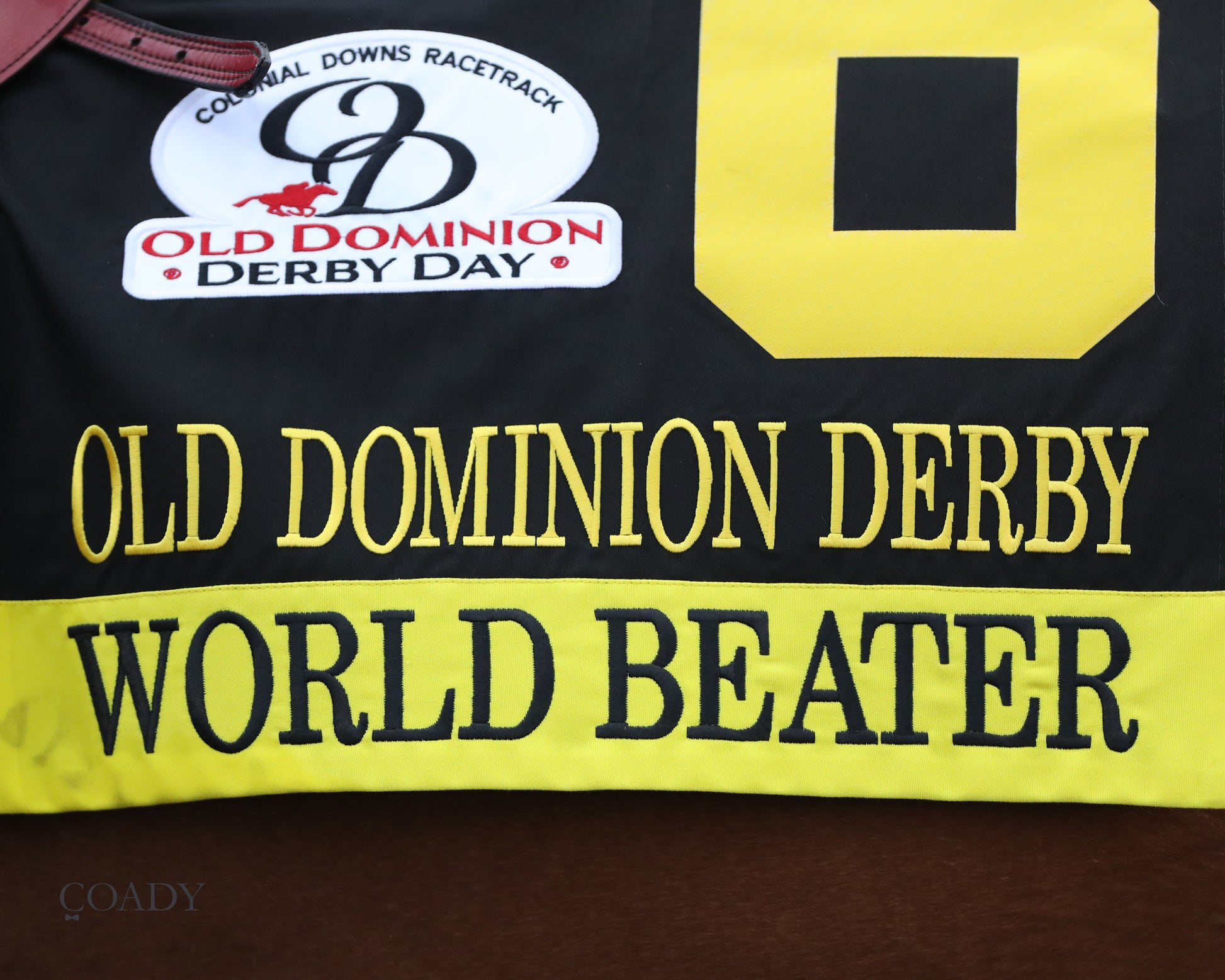 WORLD BEATER - The Old Dominion Derby G3 - 09-06-25 - R10 - CNL - Saddle Towel 01 - Coady Media - Kurtis Coady Photography