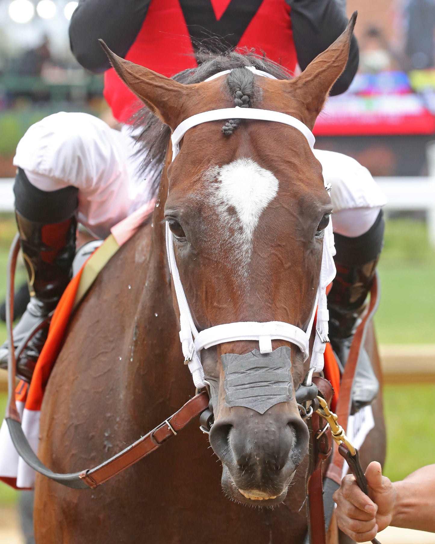 YELLOW CARD - 050226 - Race 05 - CD - Post Race 01 - Coady Media - Kurtis Coady Photography
