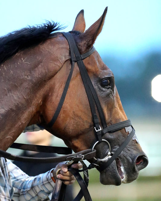 ZIHNAL - The West Virginia Derby - G3 - 08-09-26 - R08 - MNR- Come Back 02