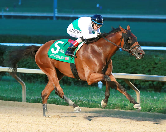 ZIHNAL - The West Virginia Derby - G3 - 08-09-26 - R08 - MNR-Finish 03