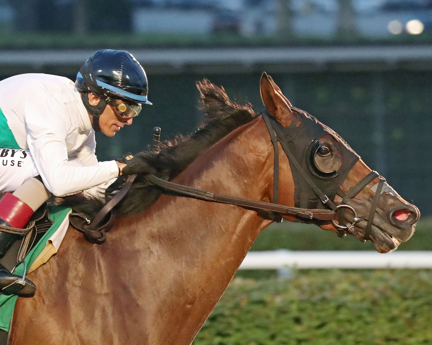 ZIHNAL - The West Virginia Derby - G3 - 08-09-26 - R08 - Finish 04
