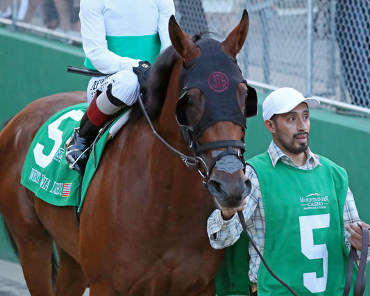 ZIHNAL - The West Virginia Derby - G3 - 08-09-26 - R08 - Post Parade 02