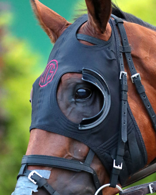 ZIHNAL - The West Virginia Derby - G3 - 08-09-26 - R08 - Post Parade 03