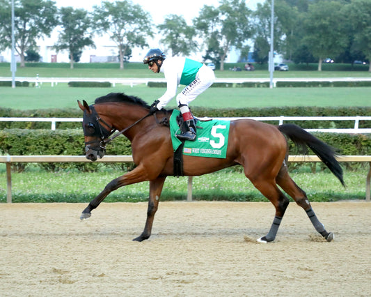 ZIHNAL - The West Virginia Derby - G3 - 08-09-26 - R08 - Post Parade 04