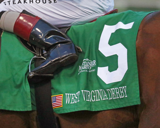 ZIHNAL - The West Virginia Derby - G3 - 08-09-26 - R08 -Saddle Towel 01