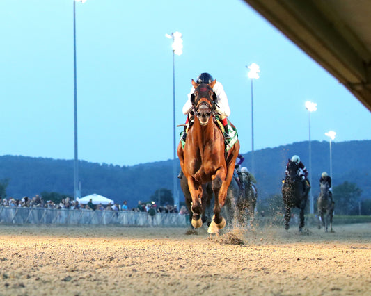 ZIHNAL - The West Virginia Derby - G3 - 08-09-26 - R08 - Under Rail 01
