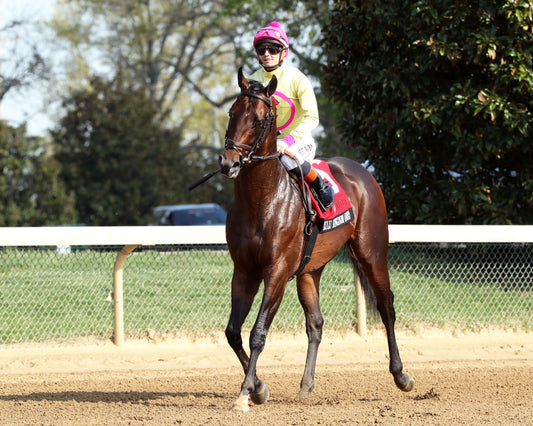 ZULU KINGDOM - Maker's Mark Mile Stakes - 04-10-26 - R09 - KEE - Post Parade 02 - Coady Media - Kurtis Coady Photography