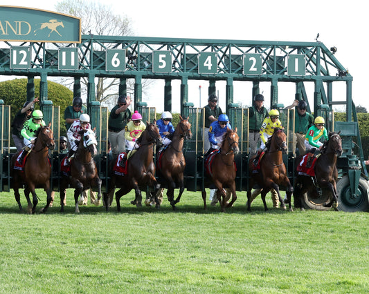 ZULU KINGDOM - Maker's Mark Mile Stakes - 04-10-26 - R09 - KEE - Start 01 - Coady Media - Kurtis Coady Photography