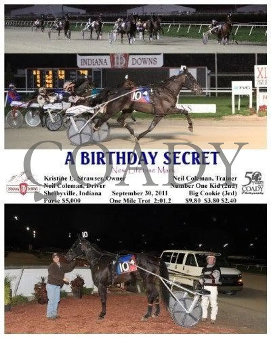A Birthday Secret - 093011 Race 04 Indiana Downs