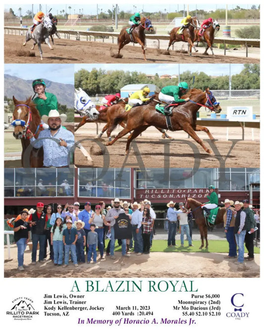 A Blazin Royal - 03-11-23 R01 Ril Rillito Park
