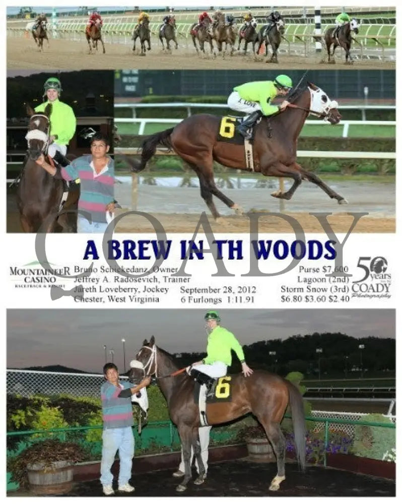 A Brew In Th Woods - 092812 Race 01 Mountaineer Park