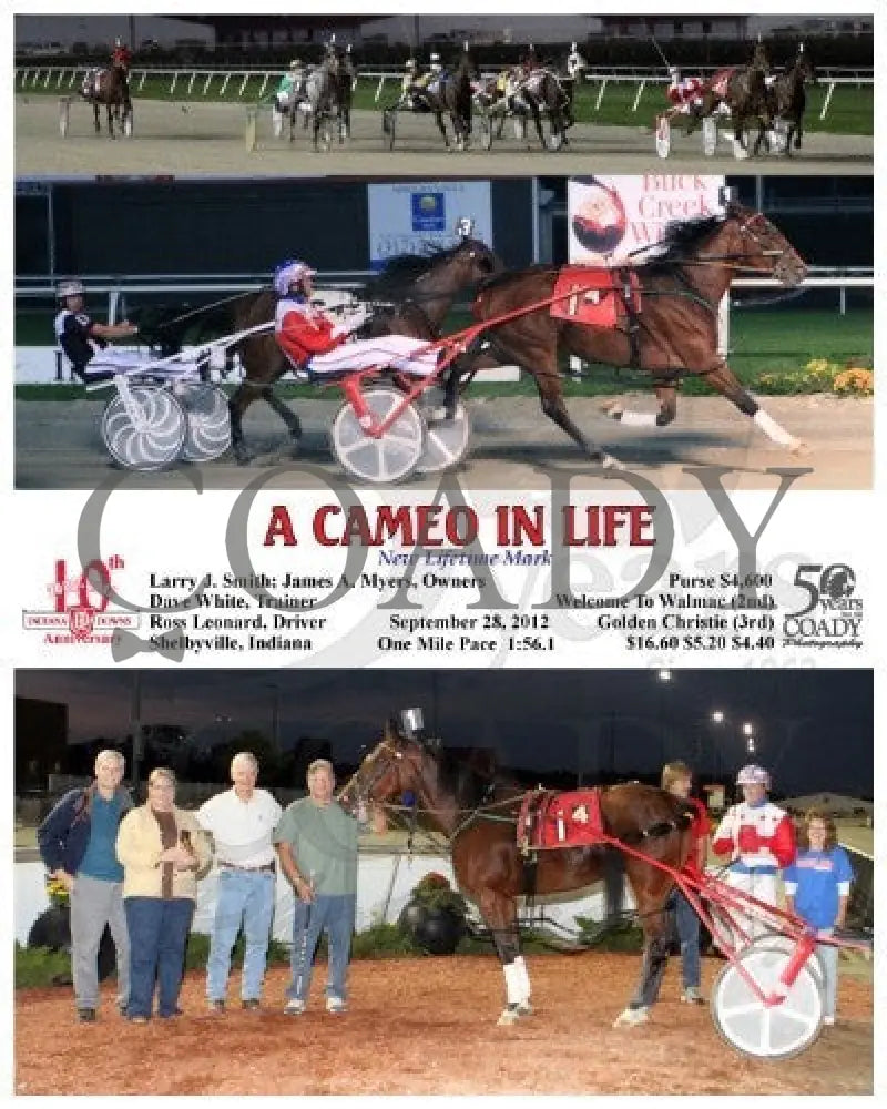A Cameo In Life - 092812 Race 04 Indiana Downs